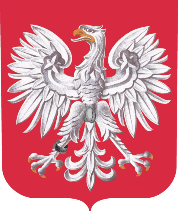 Polacy to zniewolone bydło, które nie zasługuje na żaden szacunek.